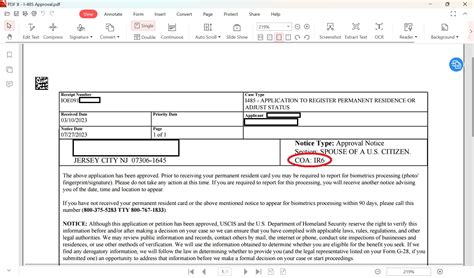 ir6 uscis category.